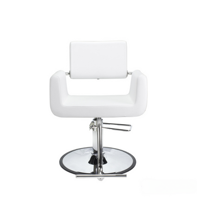 Aron Modern Styling Chair