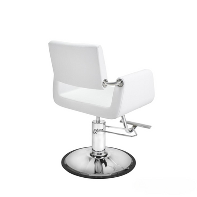 Aron Modern Styling Chair