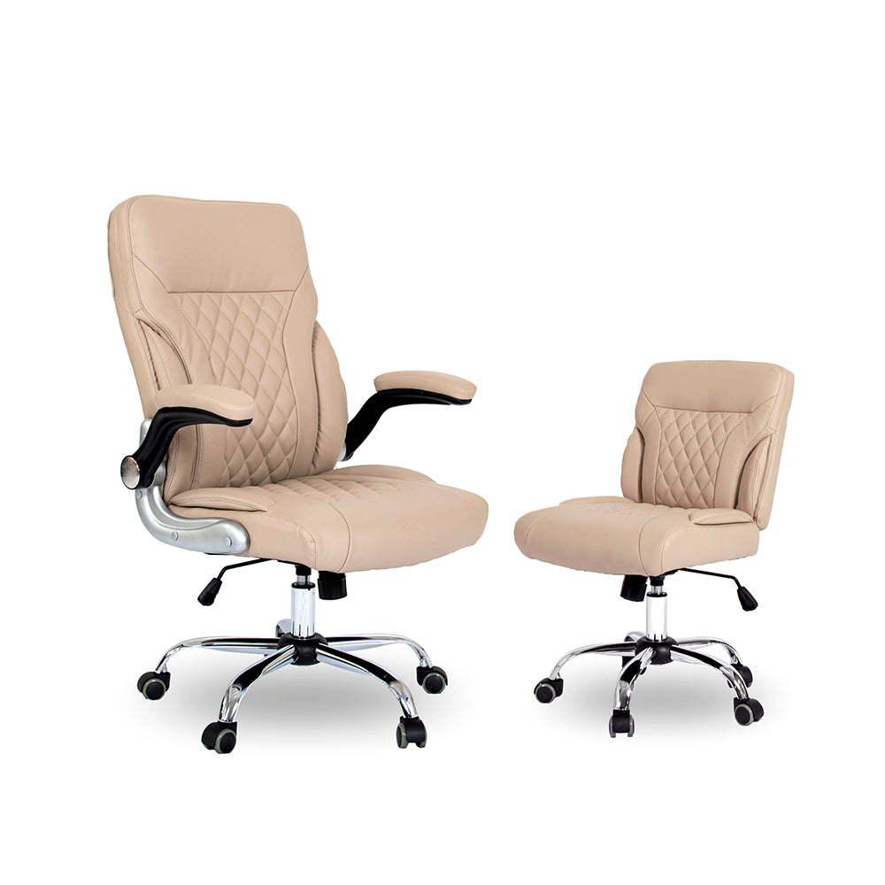 Eco 2 Customer & Technician Chair