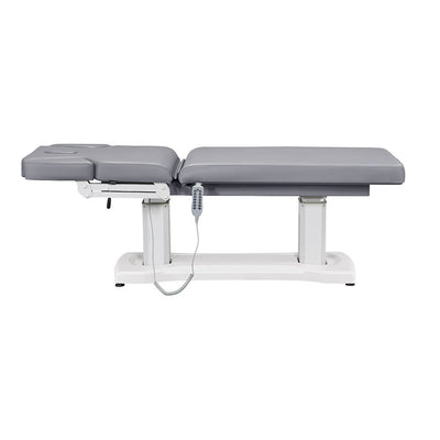 Tranquility 4 Motors Electric Medical Spa Treatment Table