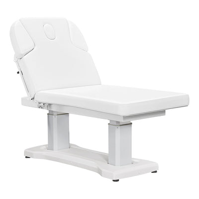 Tranquility 4 Motors Electric Medical Spa Treatment Table